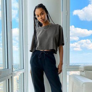 Aritzia TNA Tour Cropped Tshirt Grey